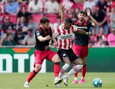 关于沙尔克主场战平霍芬海姆,难得一分的信息 关于沙尔克主场战平霍芬海姆,难得一分的信息